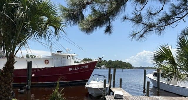The red-hulled boat Rollin Stone docked on the Carrabelle River, framed by palm fronds on a clear day.